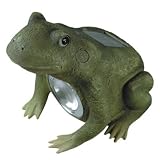Eigenschaften Isotronic 89810 / Isotronic Frosch laubgrün