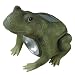 Isotronic Frosch laubgrün