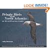 Pelagic Birds of the North Atlantic: An Identification Guide