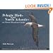 Pelagic Birds of the North Atlantic: An Identification Guide