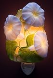 Flowers of Light Night Lights Morning Glory Ibis&Orchid
