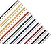 White Striped Rank Karate Martial Arts and TaeKwonDo Belts
