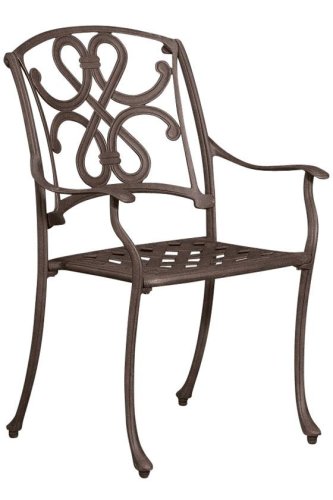 Florence Dining Arm Chair 36hx24w Aged Bronze