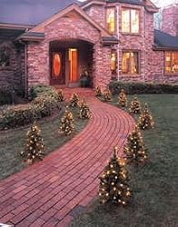 Pack of 2 Pre-Lit Indoor/Outdoor 3' Stake Trees With Stands - Clear Lights