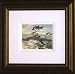 Casson, A.J. 8X10 Deluxe Frame - White Pine