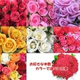 お好きな本数で　選べる花束　プチ　レッド　【生花】【お祝い】【記念日】【誕生日】【フラワーギフト】【バラ】