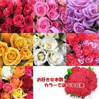 「選べる花束 プリンセス」【生花】お好きな本数で！ カラーで！【お祝い・記念日・誕生日・フラワーギフト・バラ】