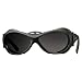 Sporting Goods : Julbo Explorer Sunglasses (w/ Cameleon Anitfog Lenses)