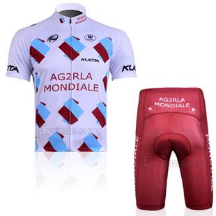 French AG2R team / newest bike clothing / Tour de France short-sleeved jersey / low price 11AG2R