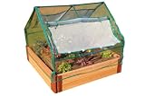 Frame It All CED-SQR2-GREP Western Red Cedar Raised Garden Bed with Soft-sided Greenhouse, 4-Foot by 4-Foot by 12-Inch