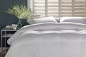 Appalachian 300-Thread-Count White Down Comforter