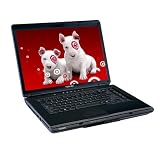 Toshiba 15.4-inch Satellite L305-S5908 Intel Core 2 Duo T5800 Notebook with Windows Vista and Case - Glossy Black