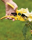 Florian Ratchet Cut Pruners 413LdpwKbQL. SL160 Florian Ratchet Cut Pruners