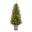 Pre-Lit Barcelona Potted Tree - 4.5'