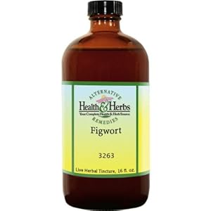 Figwort (Scrophaularia Nodosa) - 16oz