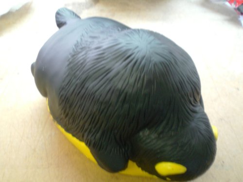 Buy Colorado Buffalos Foam Head Foamhead Hat New by Foam Heads
