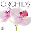 Orchids 2013 Calendar