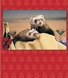 Grin & Ferret ''Happy Anniversary'' Card & Envelope