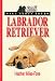 All About Your Labrador Retriever (All About)