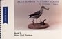 Shore Bird Patterns (Blue Ribbon Pattern Series, Book 5)