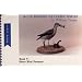 Shore Bird Patterns (Blue Ribbon Pattern Series, Book 5)