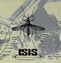 Mosquito Control