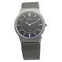 Skagen Men's 233LTTM Titanium Mesh Watch