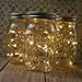Battery Fairy Lights for Mason Jars, Center Pieces, Craft and Flower Arrangements