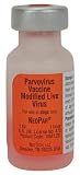 Neo Par - 10 ml vial - Canine Parvovirus Vaccine