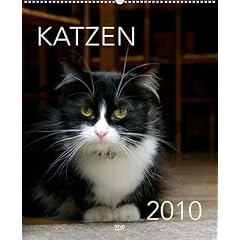 Katzen 2010