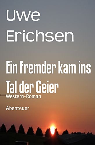 Ein Fremder kam ins Tal der Geier: Western-Roman (German Edition)