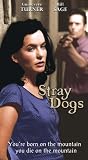Stray Dogs