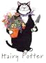 Hairy Potter Tee Shirt - Cat