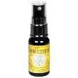 Liquid Essence, Rosemary, 1-Ounce Bottles (Pack of 3)