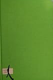 The development of the foundations of mathematical analysis from Euler to Riemann