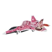 F-22 ラプター アイドルマスター 天海春香 (1/48 SP271)