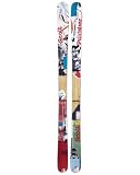 Scott USA Punisher Skis