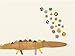 C.R. Gibson Thank You Notes, Set of 10 Boxed Cards with Envelopes -Alligator