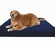 Extra Large 40x35x4 Orthopedic 100 Memory Foam Pad Pet Bed For Large Dog With Long Lasting Denim Cover Waterproof Case Free Bonus Cover from dogbed4less