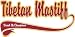 Tibetan Mastiff Breed of Champion Apron