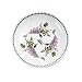 Portmeirion Botanic Garden 13-Inch Low Fruit/Pasta Bowl