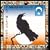 Black Crowes - Greatest Hits 1990-1999: Tribute Work in Progress