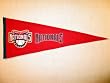 Washington DC Nationals - MLB Baseball Traditions (Pennants)