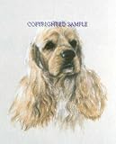 Cocker Spaniel - Portrait by Cindy Farmer, Buff