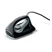 Sporting Goods : Dakine Ski Tuning Iron - Euro Version (220v)