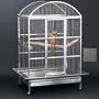 Avian Adventures Grande Dometop Bird Cage Plat