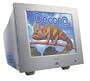 Sony HMD-A200/L 17" CRT Monitor