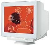 NEC / MITSUBIS 19'' FE990 Flat Panel