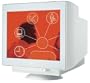 NEC / MITSUBIS 19'' FE990 Flat Panel