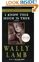 I Know This Much Is True: A Novel